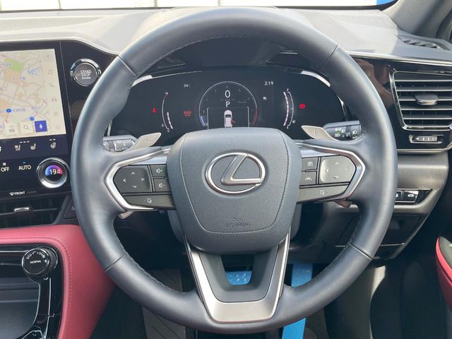 Lexus NX 12
