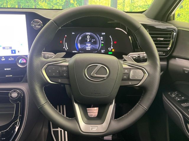 Lexus NX 11