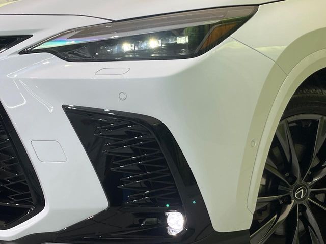 Lexus NX 12