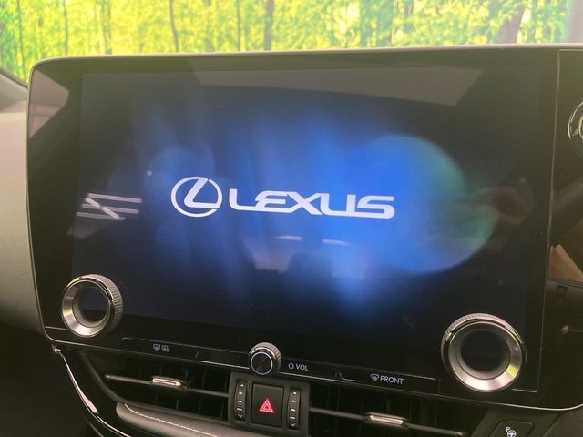 Lexus NX 4