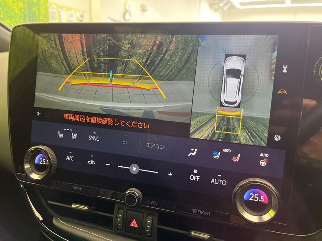 Lexus NX 5