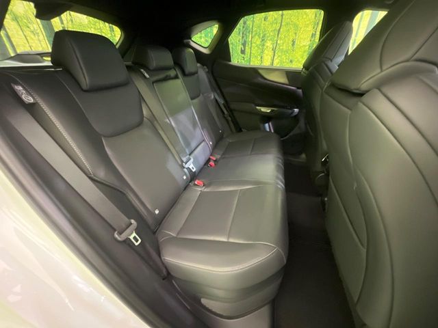 Lexus NX 9