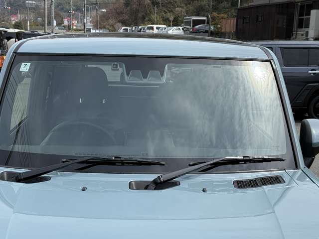 Daihatsu Taft 11