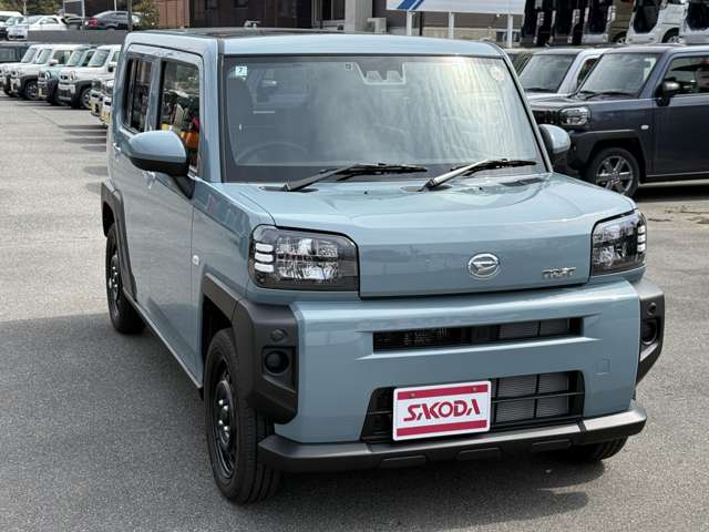 Daihatsu Taft 8