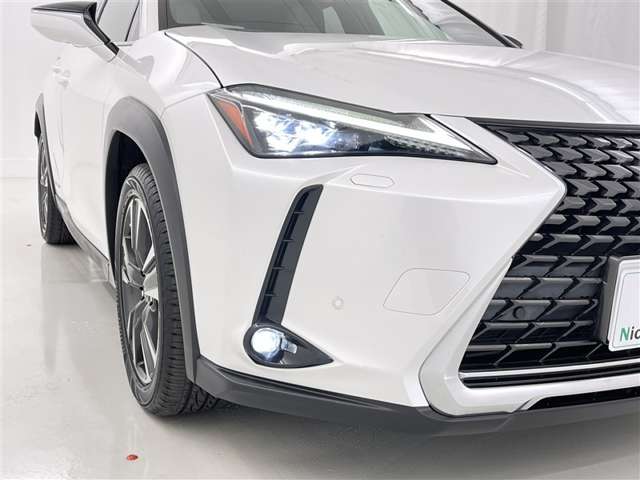 Lexus UX 8