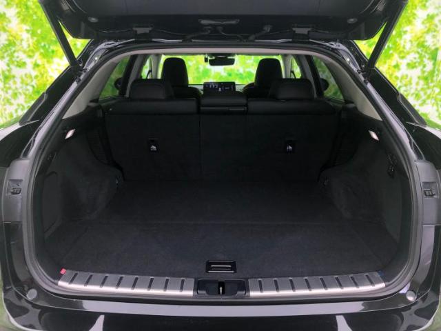 Lexus RX 10
