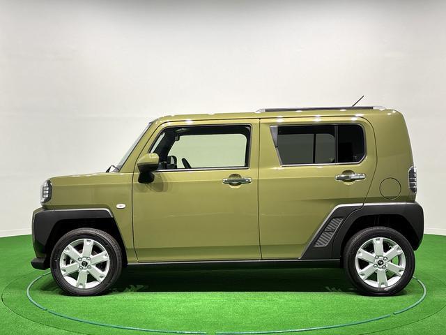 Daihatsu Taft 8
