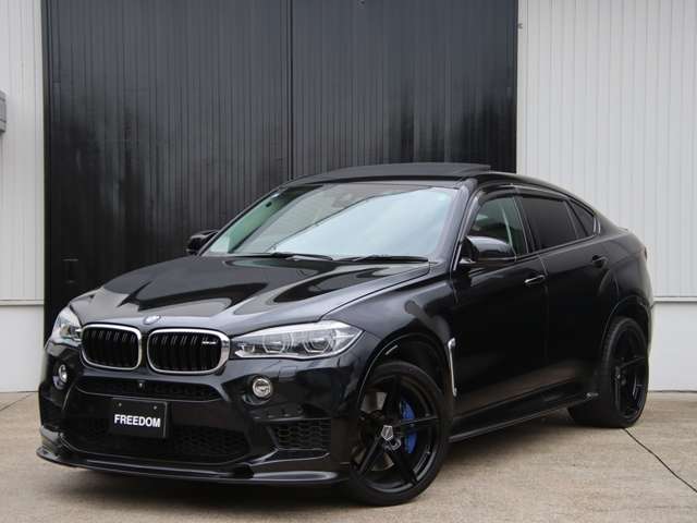 BMW X6 M 11