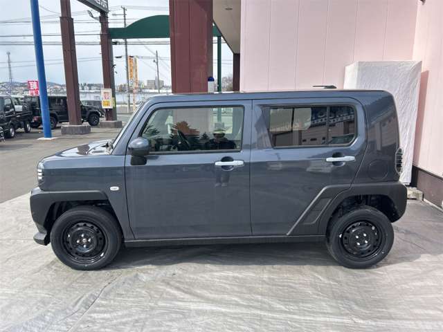 Daihatsu Taft 8