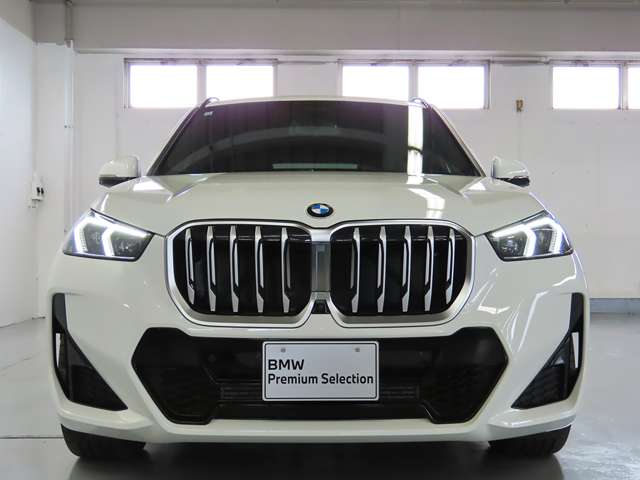 BMW X1 9