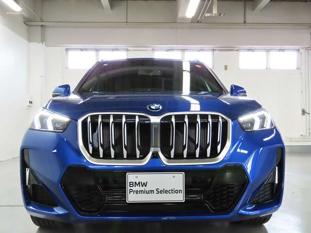BMW X1 9