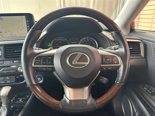 Lexus RX 12