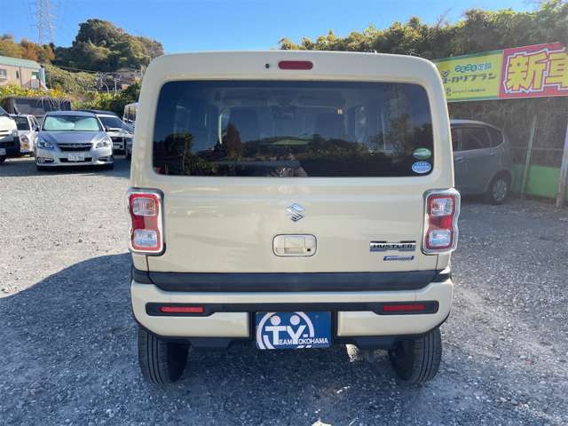Suzuki Hustler 12