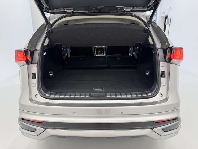 Lexus NX 12