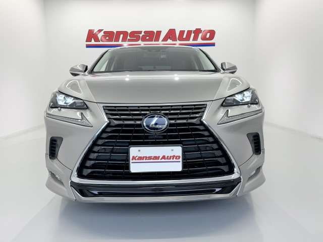 Lexus NX 2