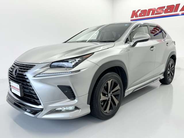 Lexus NX 4