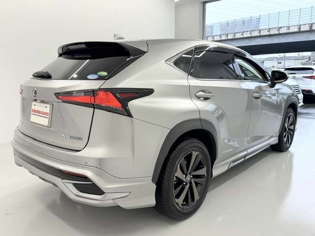 Lexus NX 6