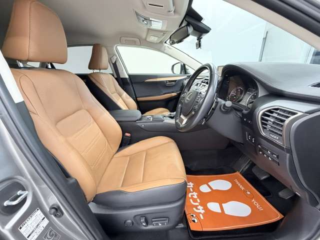 Lexus NX 9