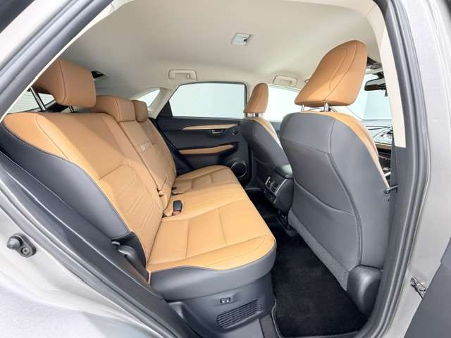 Lexus NX 10
