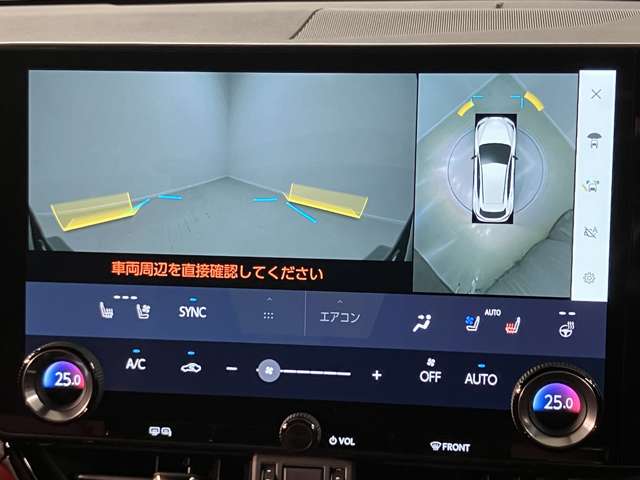 Lexus NX 12