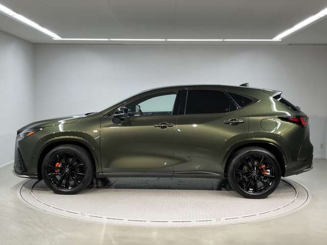 Lexus NX 4