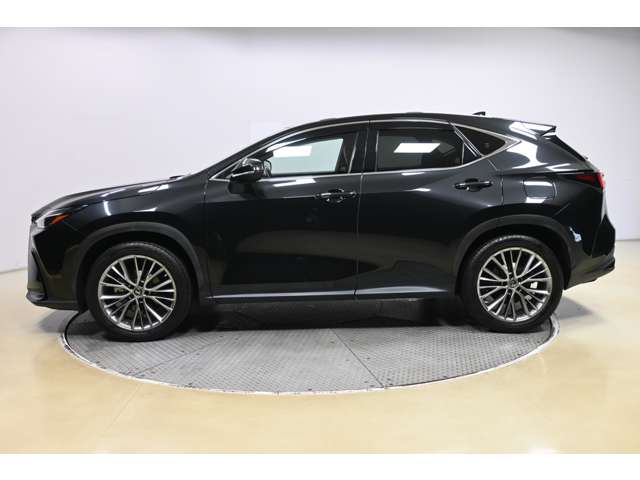 Lexus NX 4