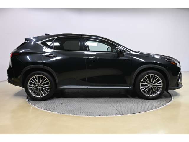 Lexus NX 5
