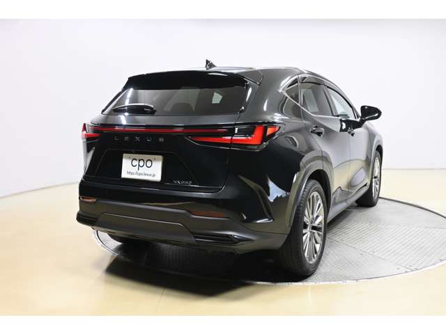 Lexus NX 6