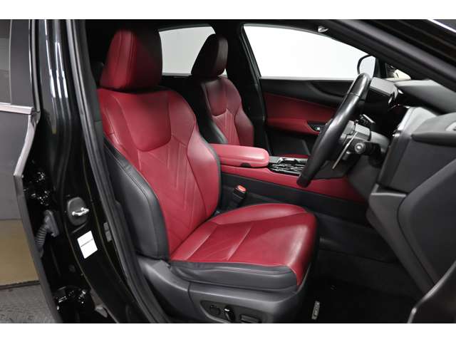 Lexus NX 10