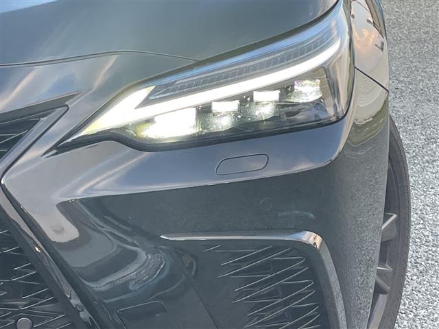 Lexus NX 11