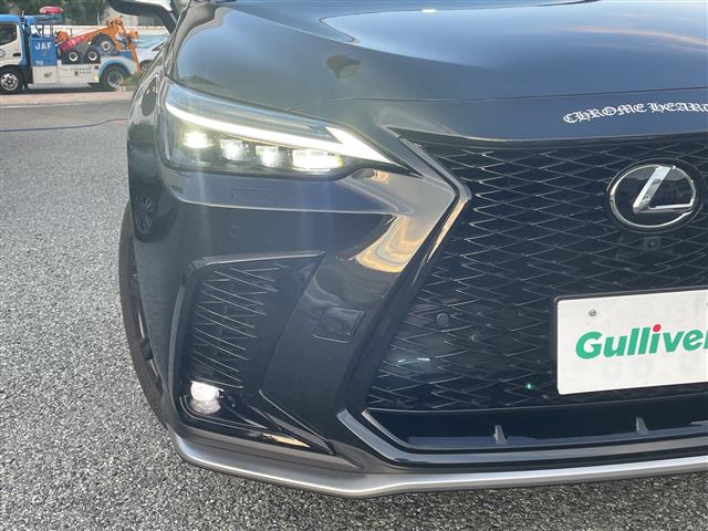 Lexus NX 12