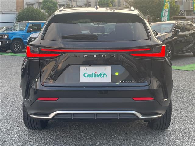 Lexus NX 5