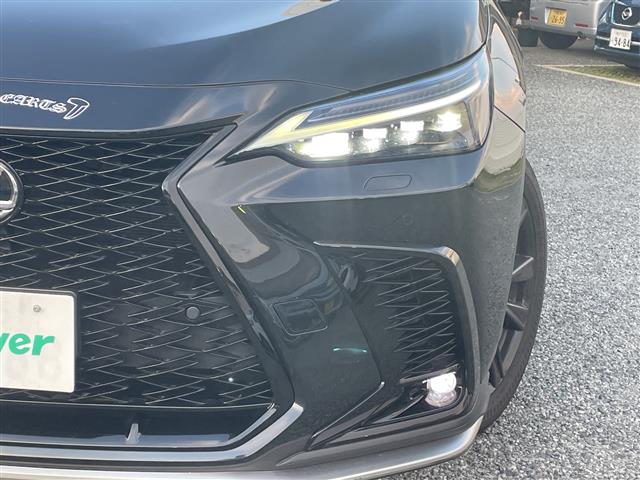 Lexus NX 10