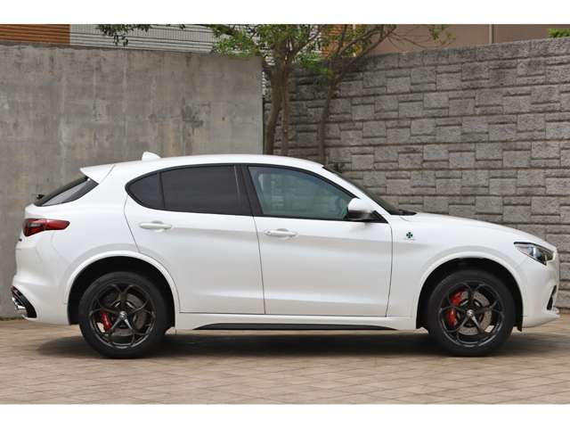 Alfa Romeo Stelvio 7