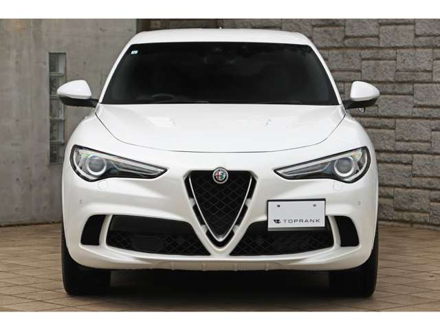 Alfa Romeo Stelvio 8