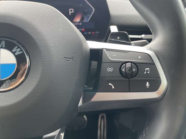 BMW X2 10