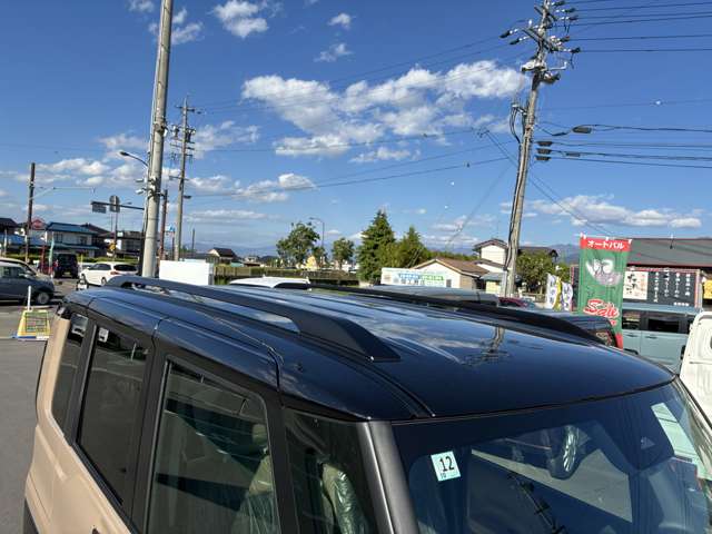 Mitsubishi Delica Mini 9