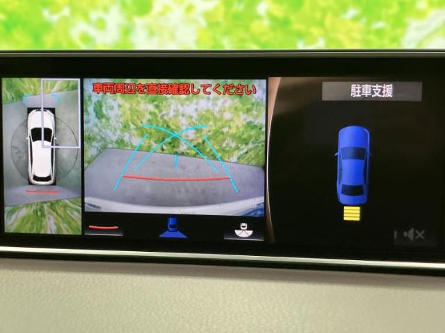 Lexus RX 12