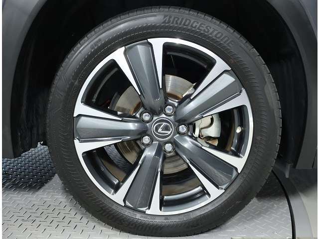 Lexus UX 11