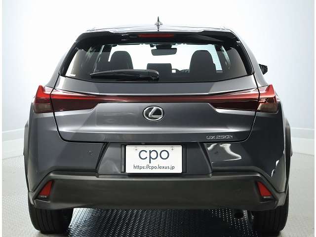 Lexus UX 6