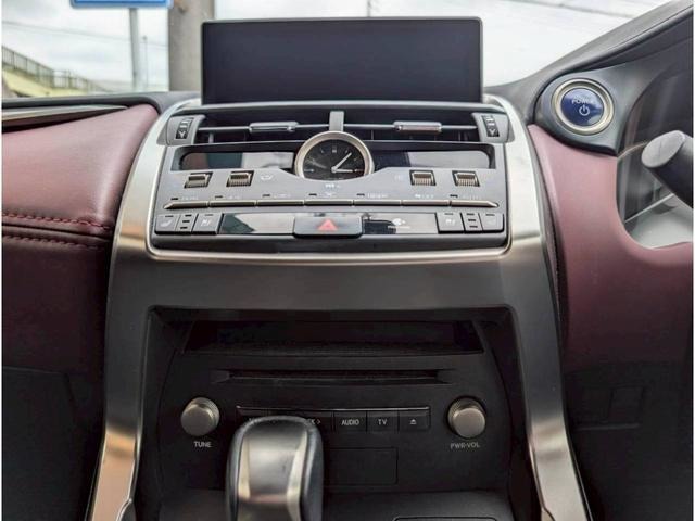 Lexus NX 12