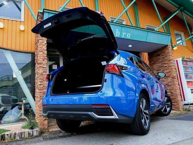 Lexus NX 9