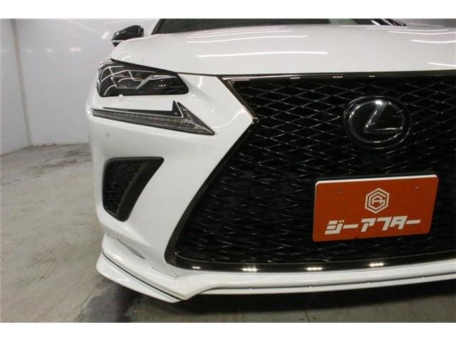Lexus NX 12