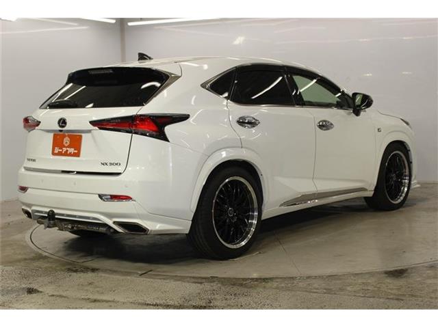 Lexus NX 6