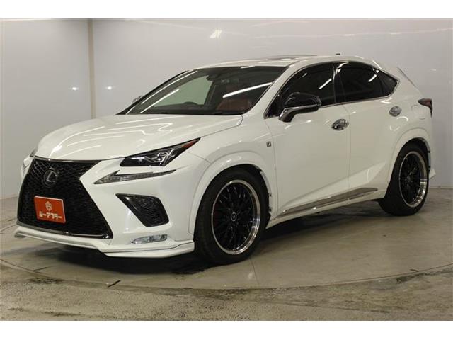 Lexus NX 10