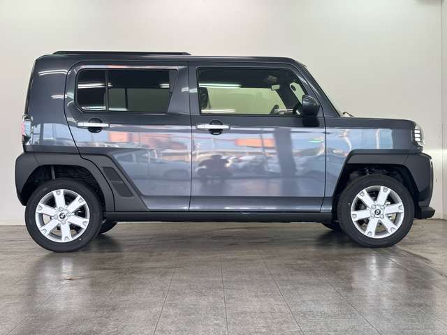 Daihatsu Taft 9