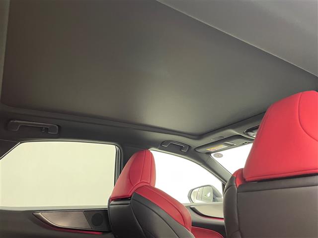 Lexus NX 9