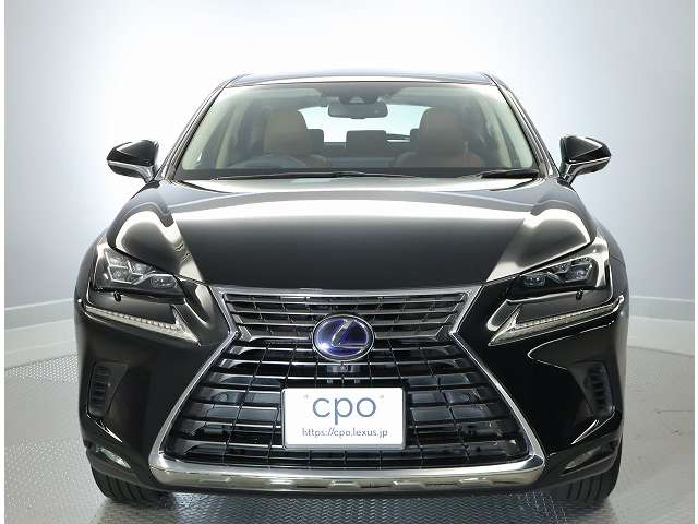 Lexus NX 2