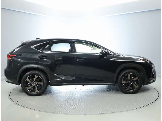 Lexus NX 4