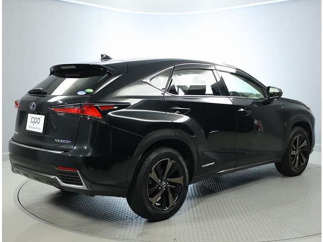 Lexus NX 5